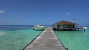 Мальдивы: лучший РИФ по доступной ЦЕНЕ. Eriyadu island resort****