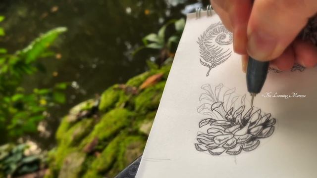 Nature Doodles ? How To Draw Fern, Pinecone, Acorn, Leaf, Mushroom ? Botanical Illustration Tutoria