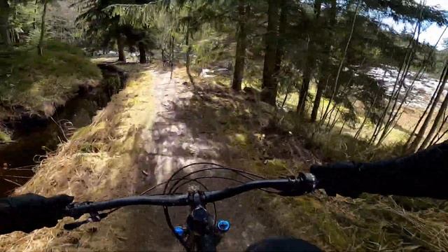 Deutschlands längster Trail - Harz - Torfhaus bis Clausthal-Zellerfeld смотреть онлайн
