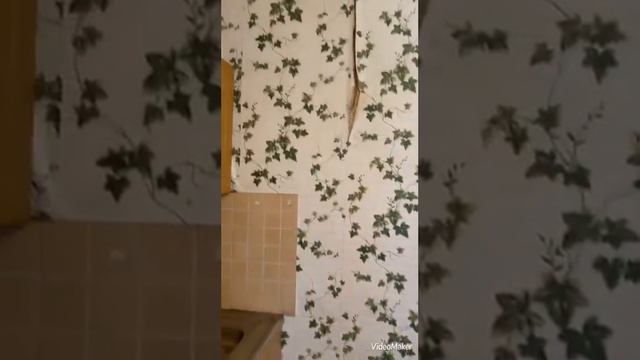 1-комнатная полноценная квартира пр.Республики-ул.Кенесары, Астана смотреть онлайн