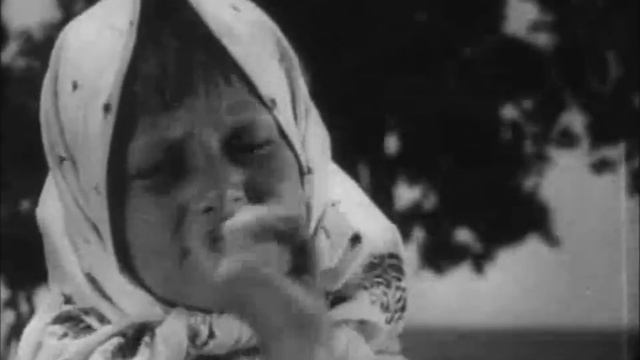 Казачья песня о Сталине вар. 2 смотреть онлайн