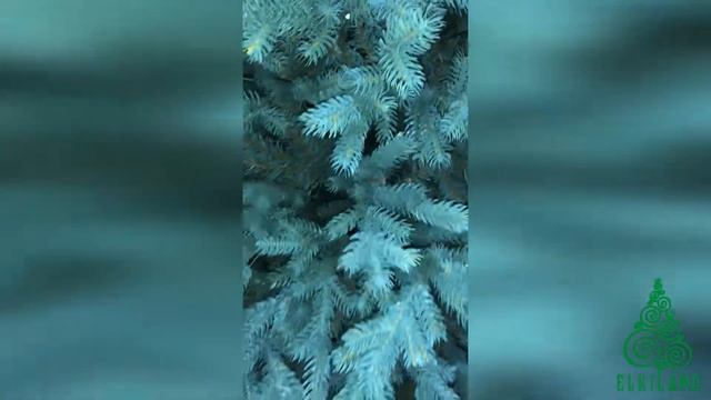 Елка "Люкс-Премиум" голубой С051 смотреть онлайн