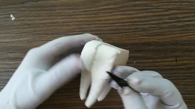 How to make a Tooth 3d model смотреть онлайн
