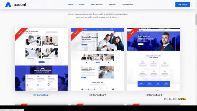Aruxcont - Business Consulting WordPress Theme finance SMM Rika смотреть онлайн