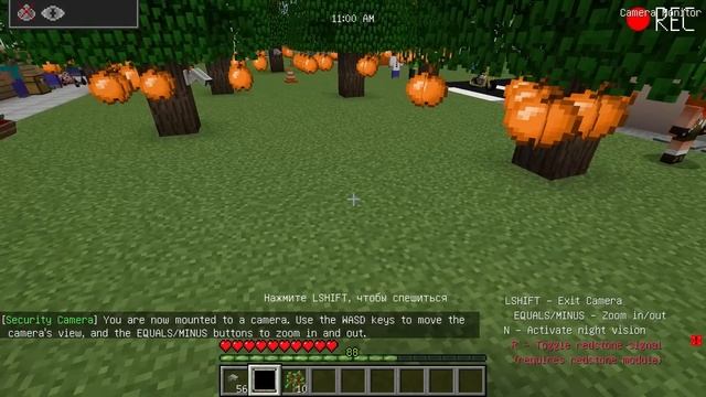 ЗАСНЯЛ ЧЕБУРАШКА на СКРЫТЫЕ КАМЕРЫ в МАЙНКРАФТ ДЕВУШКА НУБ И ПРО ВИДЕО ТРОЛЛИНГ MINECRAFT смотреть онлайн