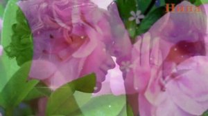 НЕ ГРУСТИ - Андрей Храмов