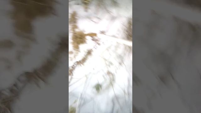 Дошли до воды спустя два не полных дня... Глубина около сими метров. смотреть онлайн