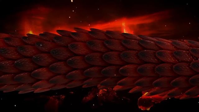 Dragon Tail | Visualizer prototype [Audio React] смотреть онлайн