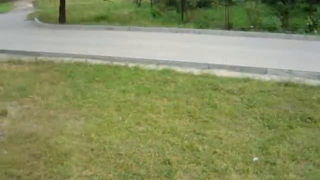 Лама плюнула в лицо, приколы с животными смотреть онлайн