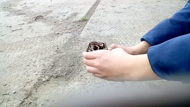 Как сделать самодельное сухое горючие!! смотреть онлайн