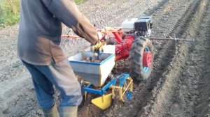 Посадка картофеля самодельной сажалкой мотоблоком МТЗ.