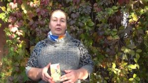 КРАСНАЯ ЩЕТКА. СИБИРСКИЙ ЖЕНЬШЕНЬ || Полезные свойства и применение