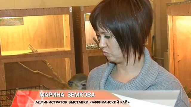 выставка экзотических животных смотреть онлайн
