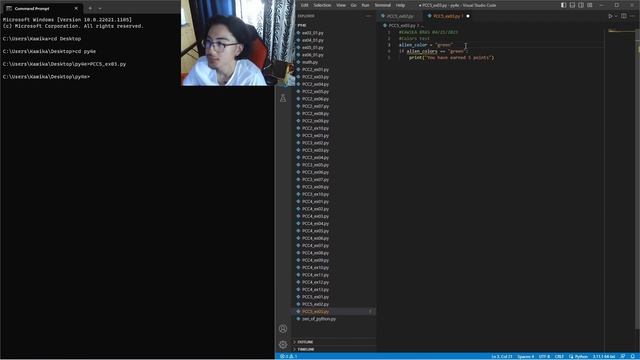 Learn Python With Me: if Statements смотреть онлайн