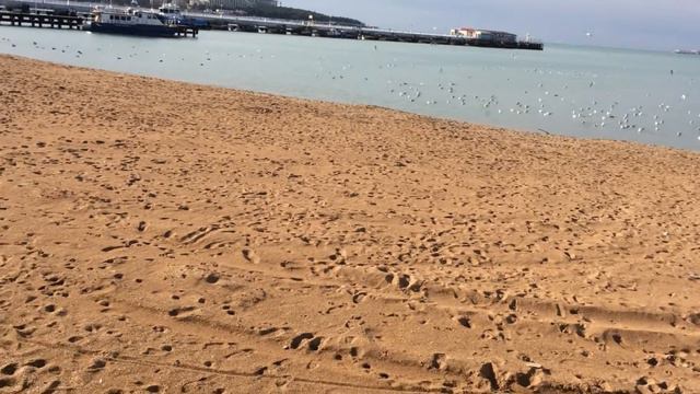 В январе на Черном море аншлаг!!!! смотреть онлайн