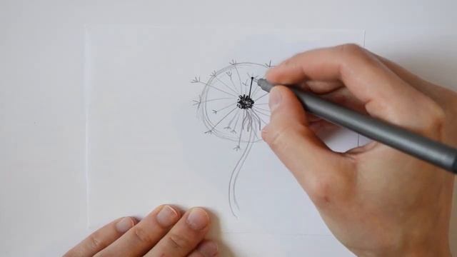 Как нарисовать одуванчик. Рисуем цветы просто смотреть онлайн