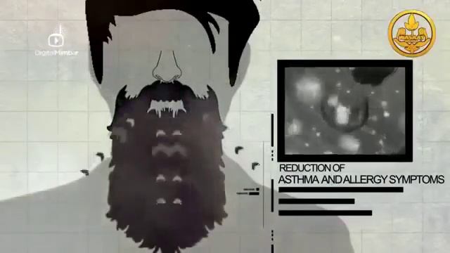 О Бороде в науке смотреть онлайн