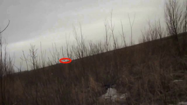 Натаска легавых смотреть онлайн