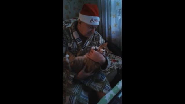 новогодняя песня для кота Бориса смотреть онлайн