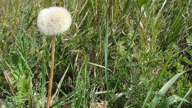 По заброшенным дорогам смотреть онлайн
