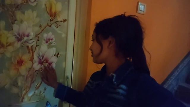 হাগতে গিয়েও শান্তি নেই !😂 Jit Nishita Vlog смотреть онлайн