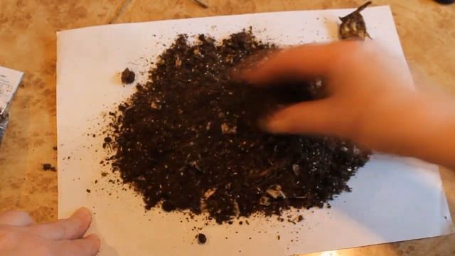 Что делать с проросшими луковицами лилий. смотреть онлайн