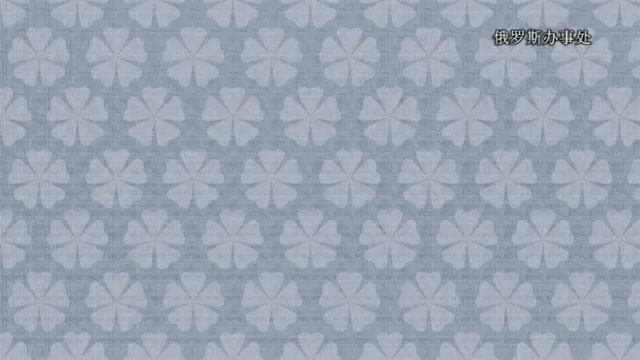 SHACMAN IN RUSSIA   THE OPERATION OF DIAGSMART