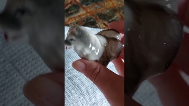 Воскресная барахолка в Киеве. Шикарная балерина и много других прелестей. смотреть онлайн