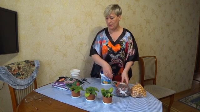 43. Уход за нежными сенполиями... смотреть онлайн