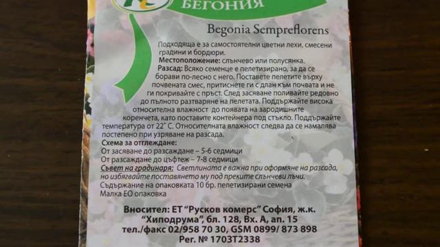 Специални сортови семена на градинска Бегония - (Begoniq Semperflorens seeds) смотреть онлайн