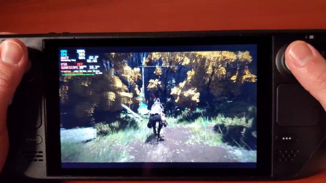 Steam Deck - Elden Ring [SteamOS] Gameplay смотреть онлайн
