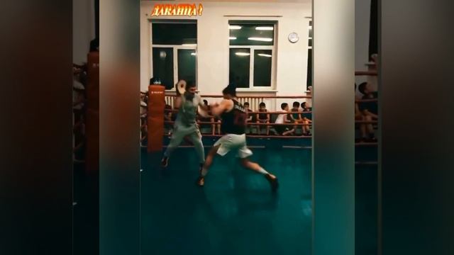 НОВОСТИ ММА ЧОРШАНБЕ ЧОРШАНБИЕВ И МАХМУД МУРАДОВ ГОТОВЯТСЯ К НОВЫМ ПОБЕДАМ 2021 ИЮНЬ смотреть онлайн