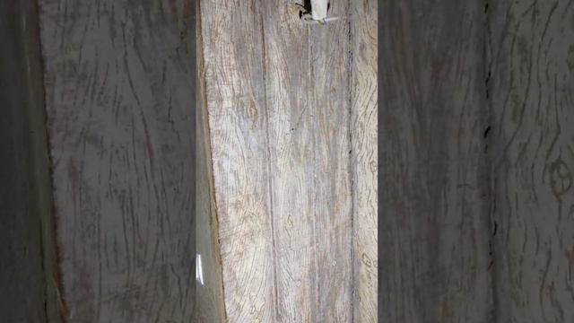 коредор 2023 г. смотреть онлайн