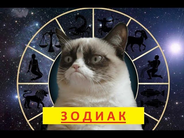 ЗОДИАК смотреть онлайн