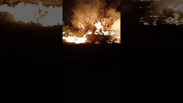 Вот что значит если поиграть в brawl Stars на Poco смотреть онлайн