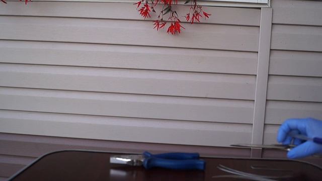 Как сделать бирку для растений своими руками. смотреть онлайн