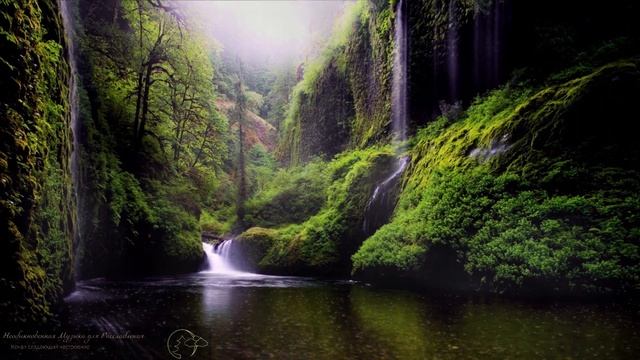 РЕЛАКС ЗВУК Дождя и грома ДЛЯ СНА, сердца и медитации ШУМ ГОРНОГО ВОДОПАДА, MUSIC SOUND FOR SLEEP # смотреть онлайн