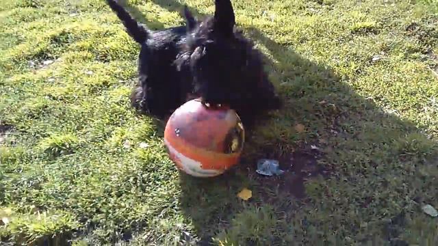 Бекленищево Исеть порог Ревун