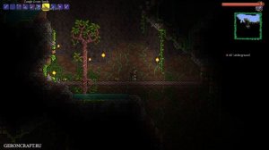 Террария Фрукт Жизни | Террария Золотые сердца | Террария Ферма Фруктов Жизни | Террария 1.4.4.x