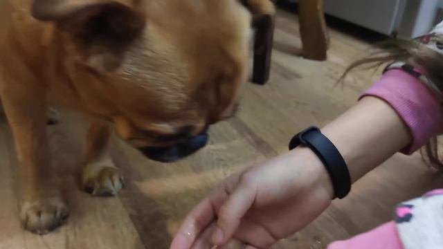 Гоша ест лёд! смотреть онлайн