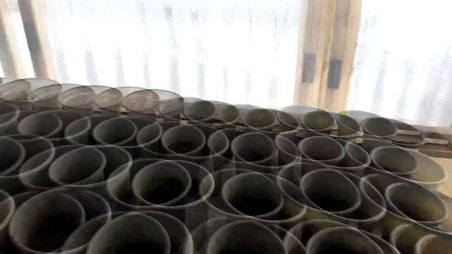 россадник 2019 что выросло на 22 января смотреть онлайн