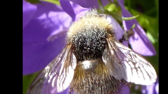 Panasonic Lumix TZ19 Test. смотреть онлайн