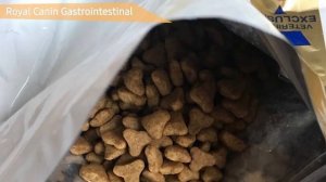 ТОП—9. Лучшие сухие корма для кошек. Рейтинг 2022 года!