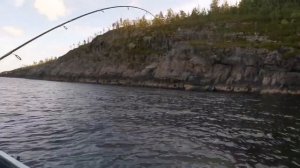 Рыбалка на Белом море губа Чупа.