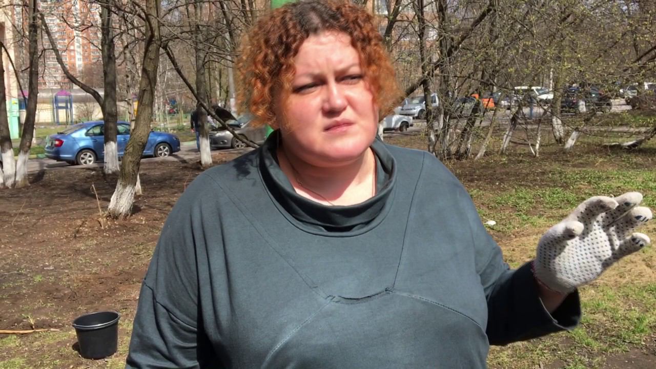 «Лес Победы»: новые деревья вместо застройки смотреть онлайн