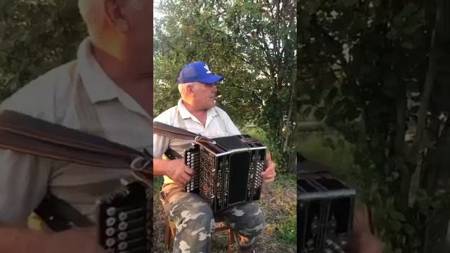 Гармонь 🔥 Гаращенков в Ля-диез/ смотреть онлайн