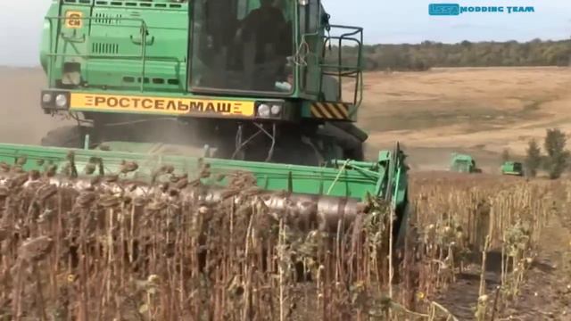 Уборка Подсолнуха смотреть онлайн