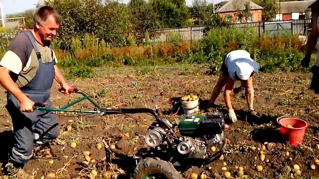 Мотоблок и картошка смотреть онлайн