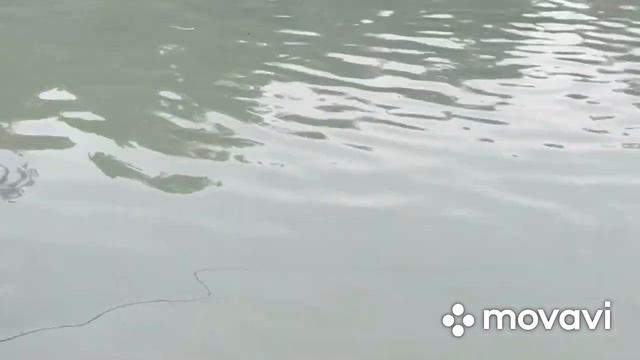 Форелевое хозяйство Алматы , Талғар смотреть онлайн