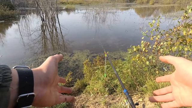 ТАКИЕ КАРПЫ! Космические эмоции!!! ОТРЫВАЮТ ПОВОДКИ! смотреть онлайн